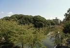茶臼山