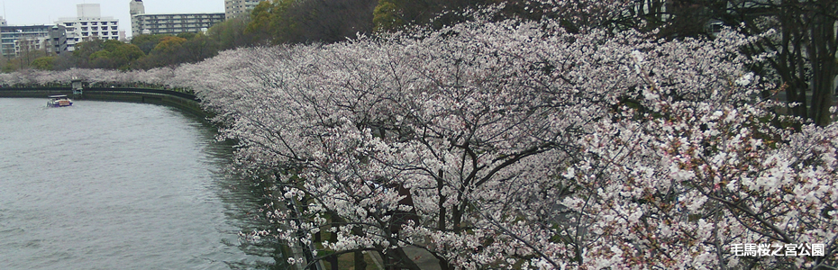 毛馬桜之宮公園