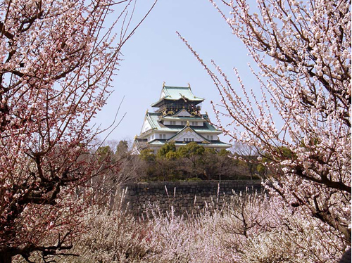 大阪市花と緑の情報サイト 大阪城公園 梅