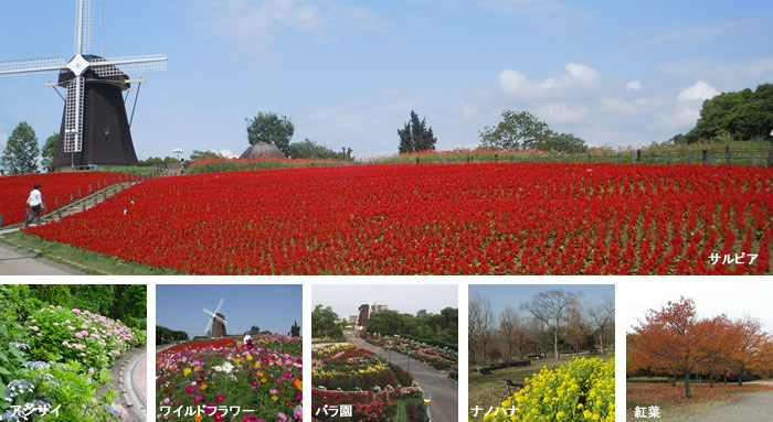 花博記念公園鶴見緑地